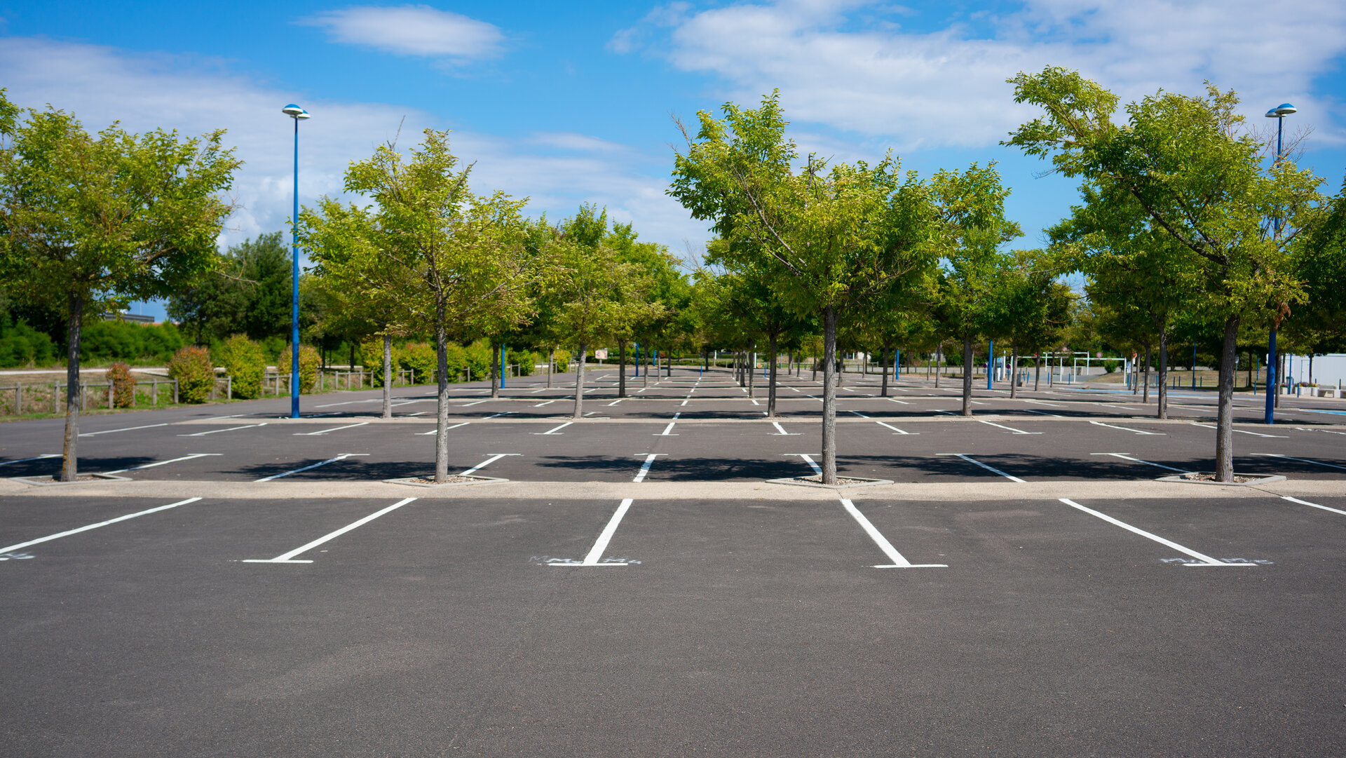 Leerer Parkplatz mit Bäumen an einem sonnigen Sommertag